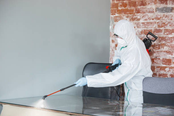 Mold Documentation for Insurance Claims in Lantana, FL